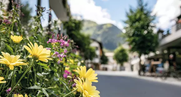 Pressegespräch "Entente Florale" 2017: Die Jury zu Gast in st. Anton am Arlberg