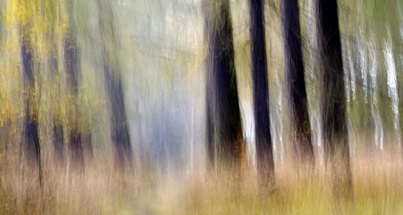„Malen durch die Linse“ – Fotografische Naturbilder von Manfred Scheiber in der Galerie Kronburg